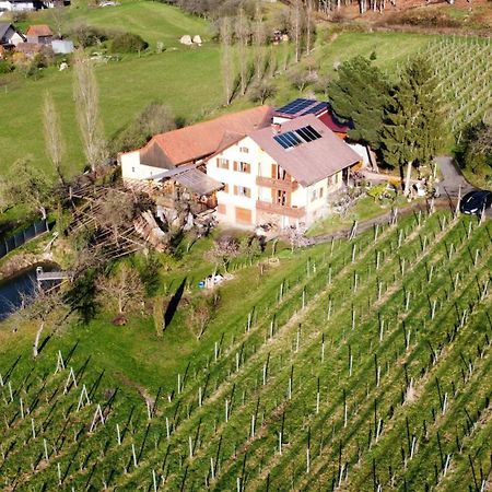 Appartement Weingut Schoberhof Бад Глайхенберг Екстериор снимка