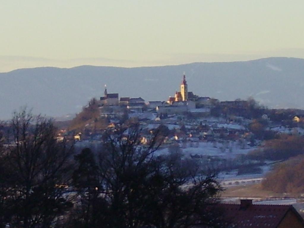 Appartement Weingut Schoberhof Бад Глайхенберг Стая снимка