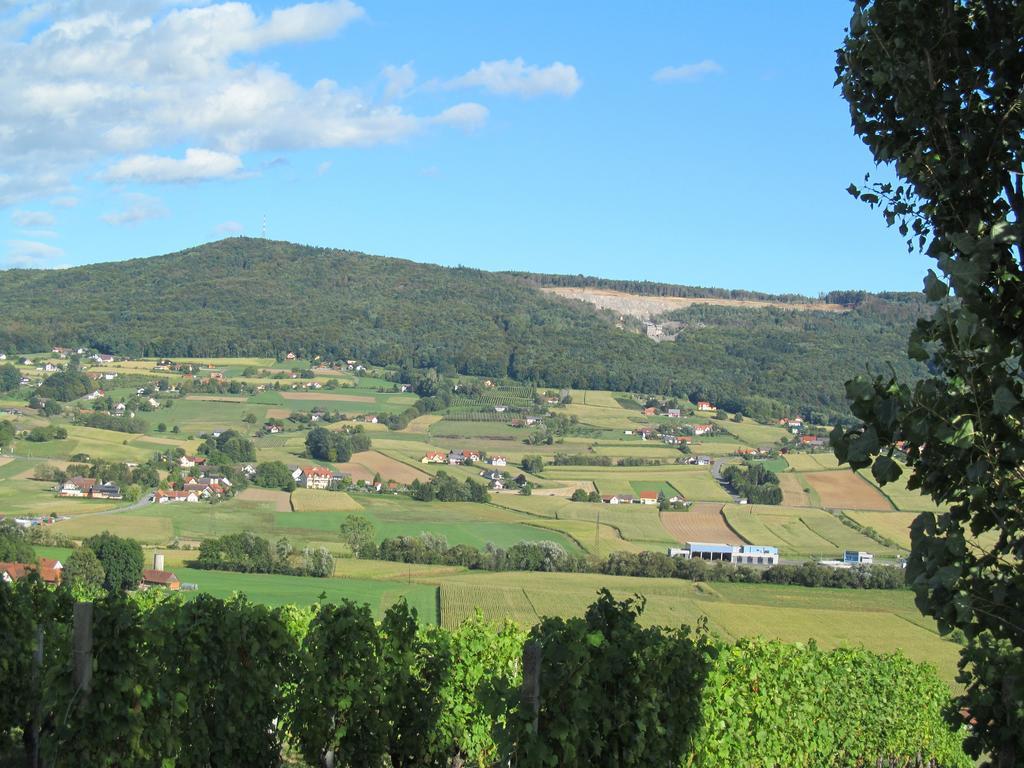 Appartement Weingut Schoberhof Бад Глайхенберг Стая снимка