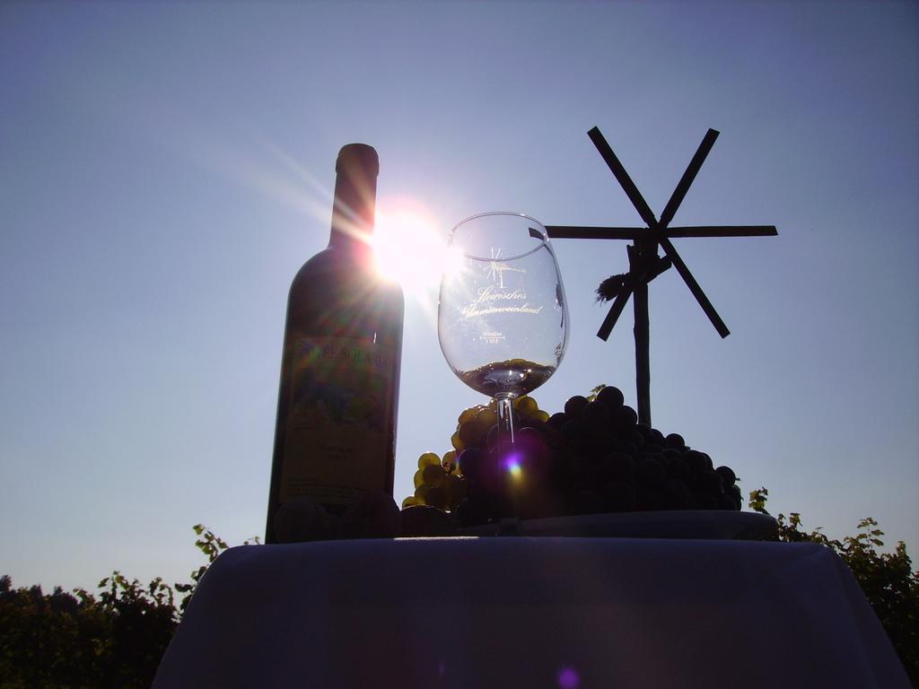 Appartement Weingut Schoberhof Бад Глайхенберг Стая снимка