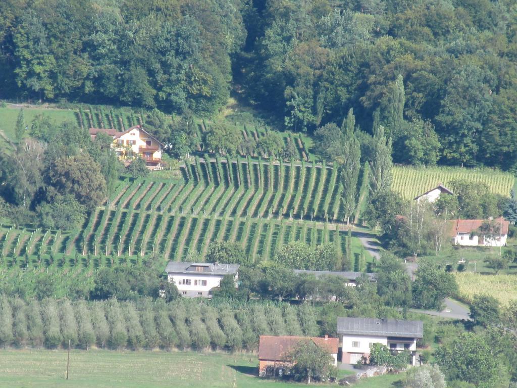 Appartement Weingut Schoberhof Бад Глайхенберг Стая снимка