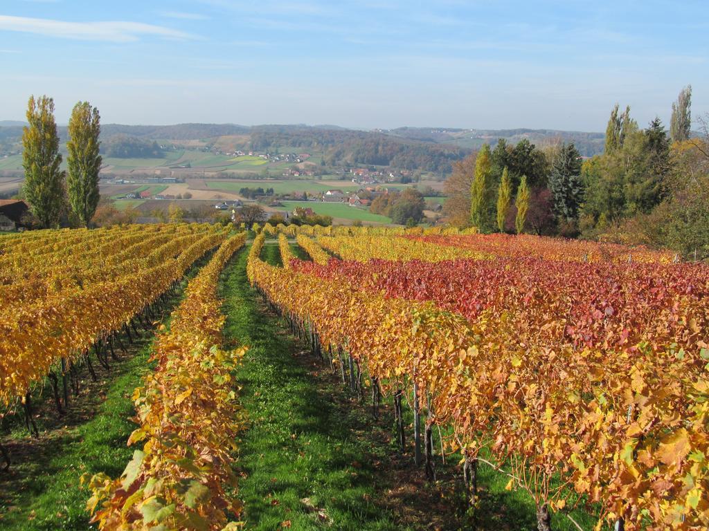 Appartement Weingut Schoberhof Бад Глайхенберг Стая снимка