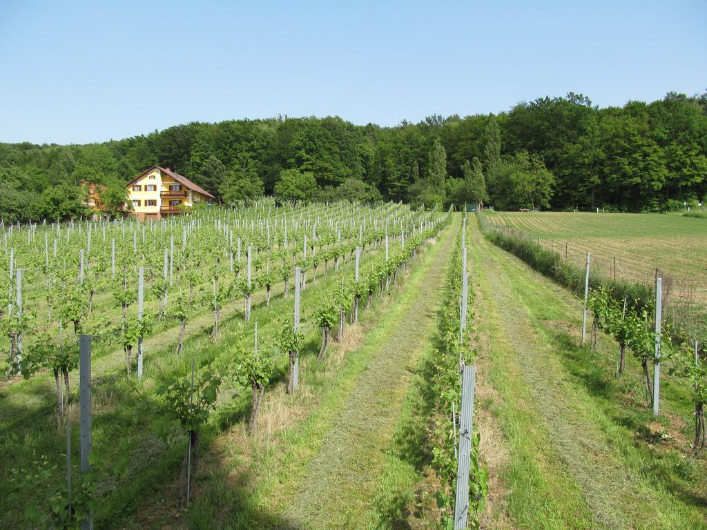 Appartement Weingut Schoberhof Бад Глайхенберг Стая снимка