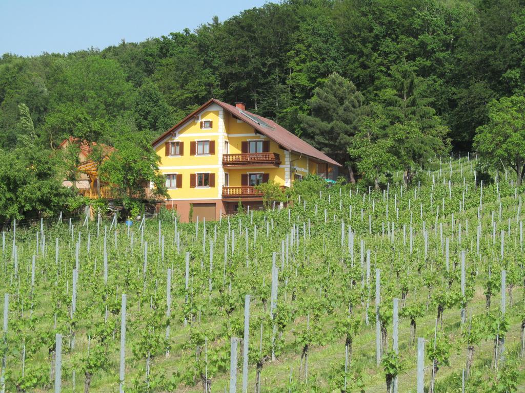 Appartement Weingut Schoberhof Бад Глайхенберг Стая снимка