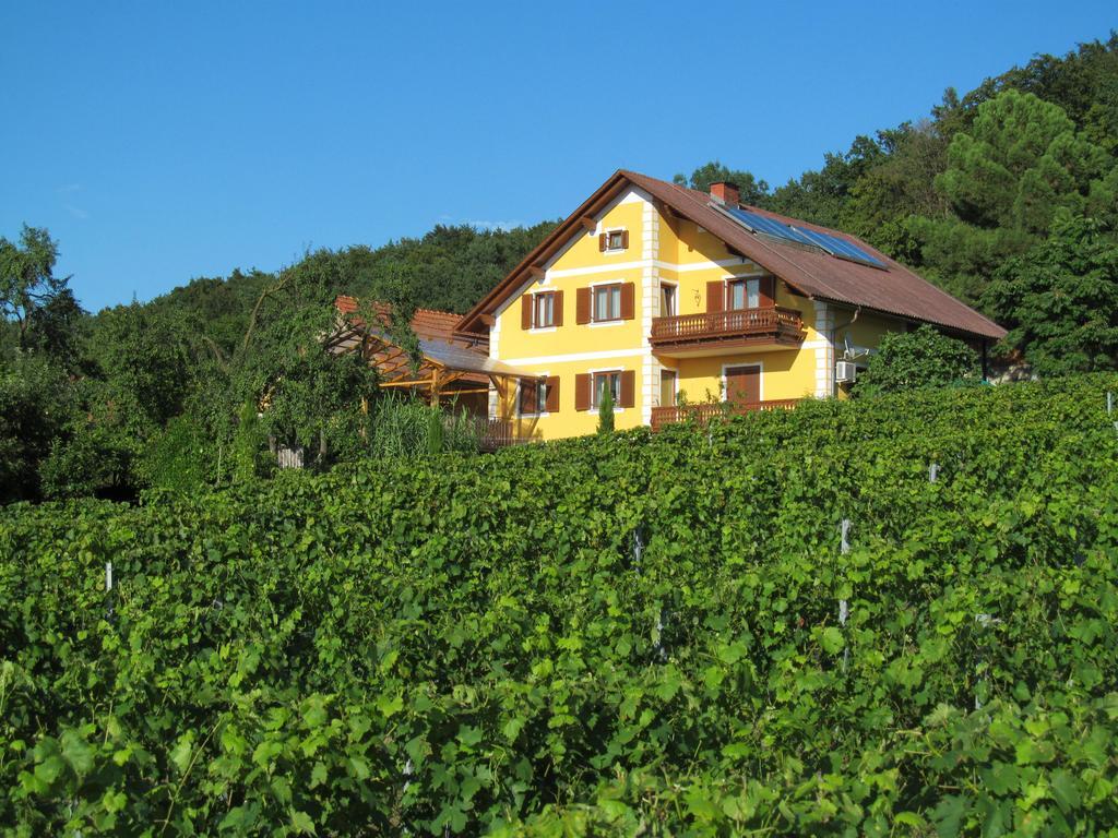 Appartement Weingut Schoberhof Бад Глайхенберг Екстериор снимка