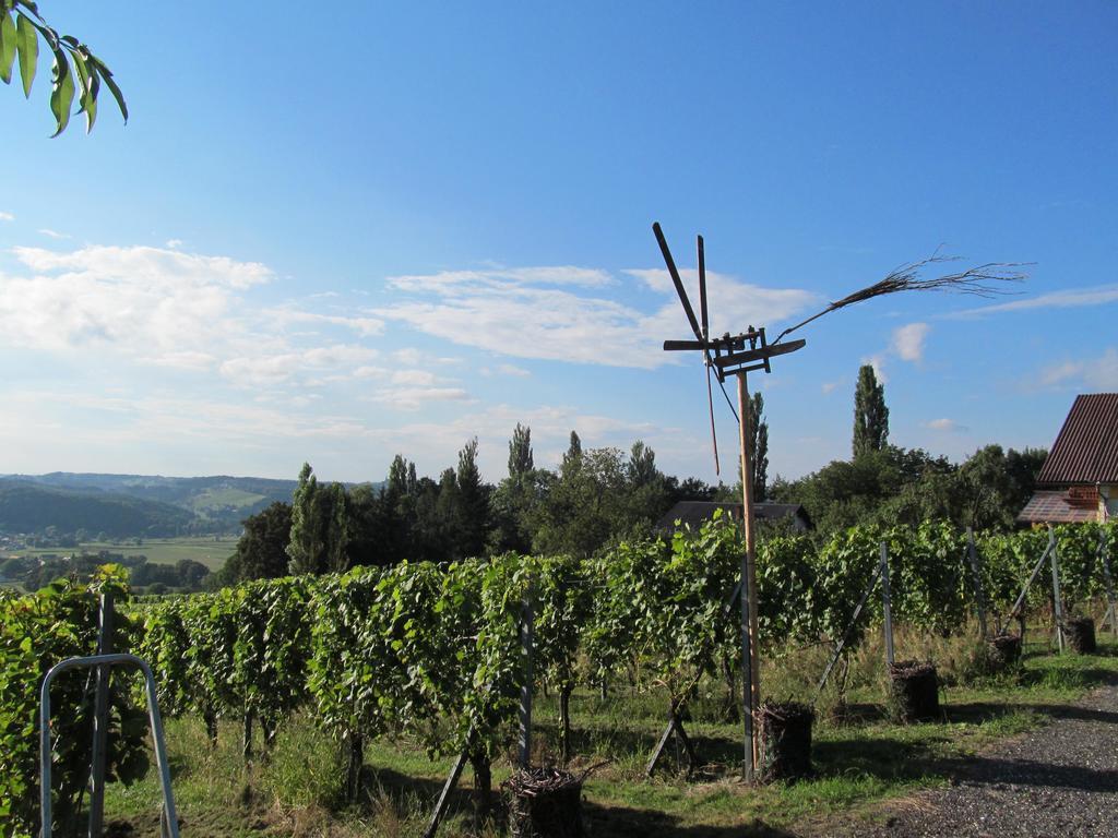 Appartement Weingut Schoberhof Бад Глайхенберг Екстериор снимка