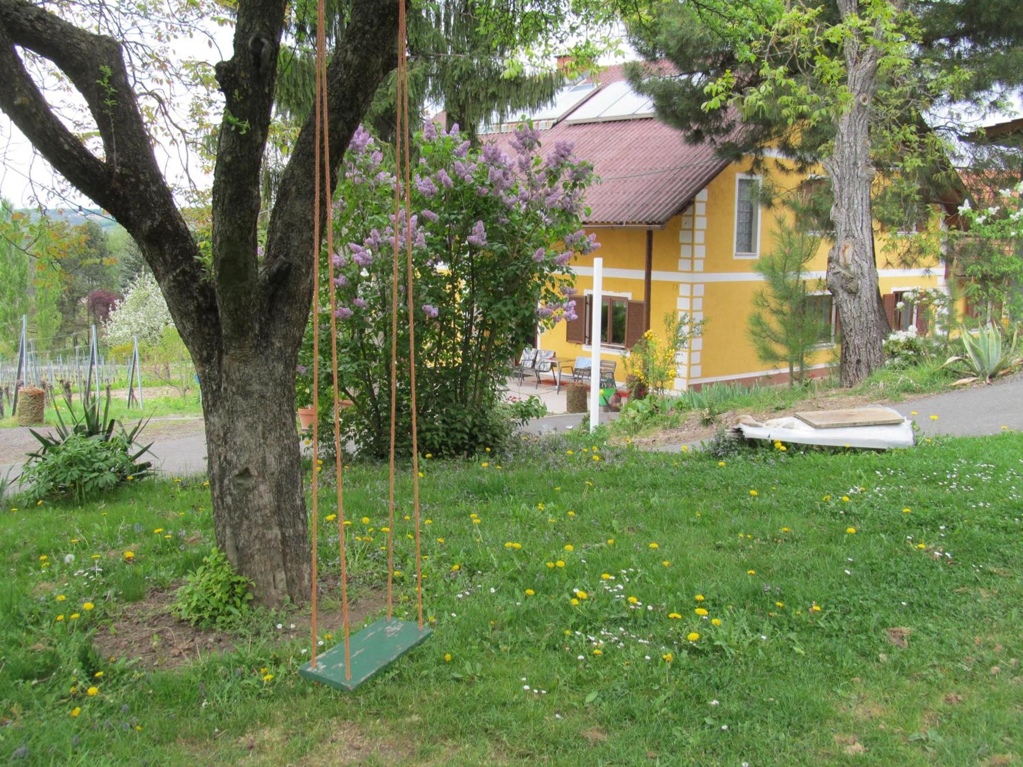 Appartement Weingut Schoberhof Бад Глайхенберг Екстериор снимка